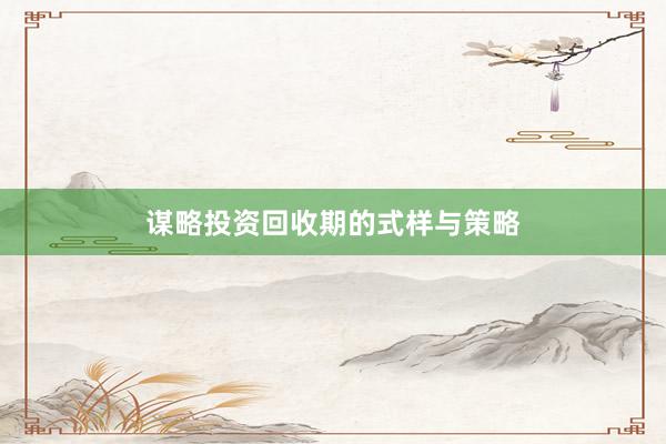 谋略投资回收期的式样与策略